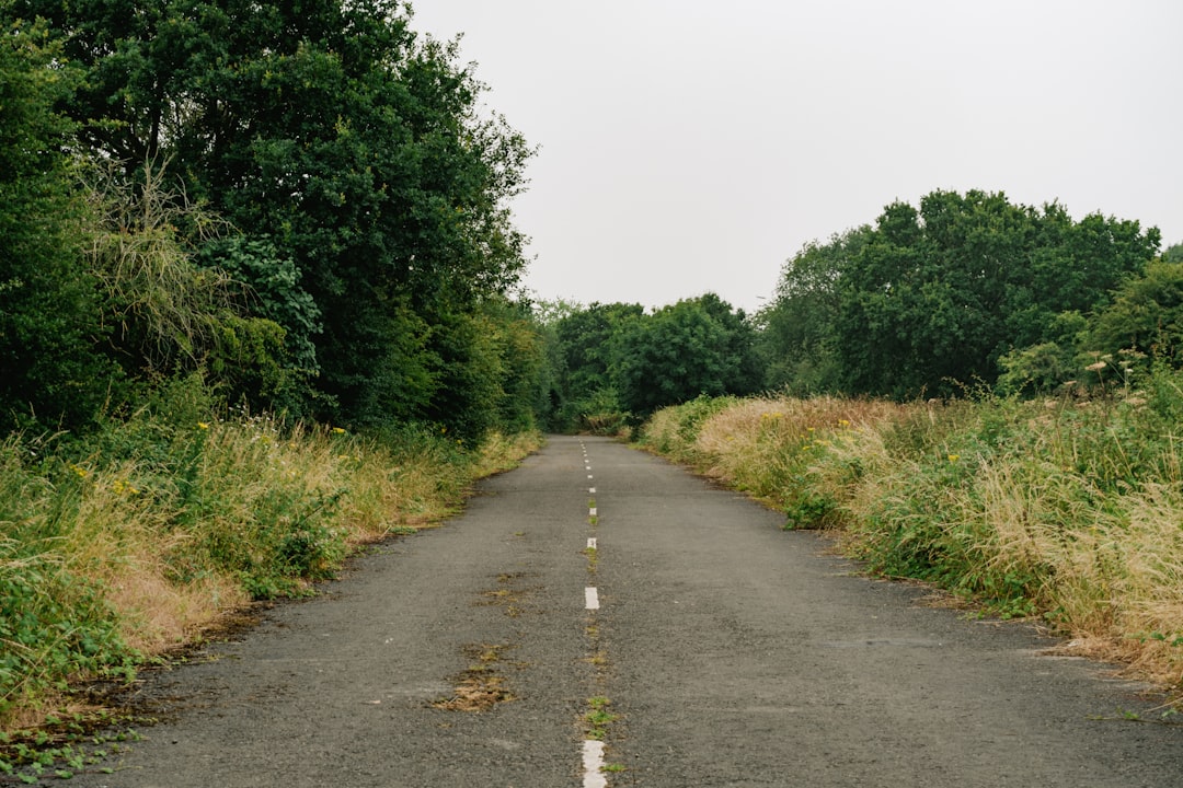 Walking Down an Abandoned Road at Sunset, The Orange Sky Stretching Over the Empty Horizon