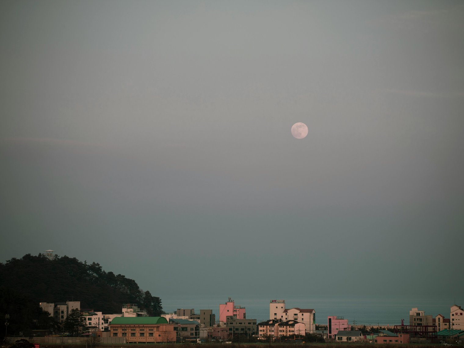 Staring at a Full Moon from the Roof of Your Apartment, The Quiet of the Night Embracing You