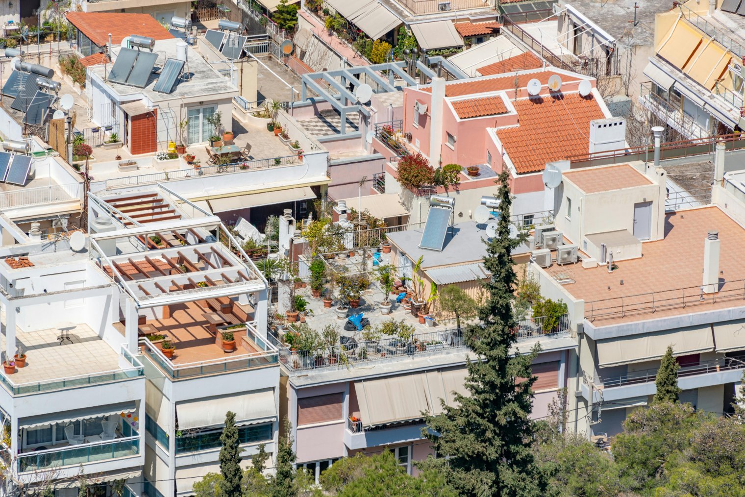 Exploring Urban Rooftop Gardens