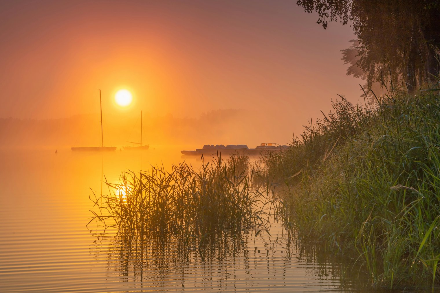 Sitting by a Quiet Lake at Sunrise, Watching the Mist Roll Over the Water