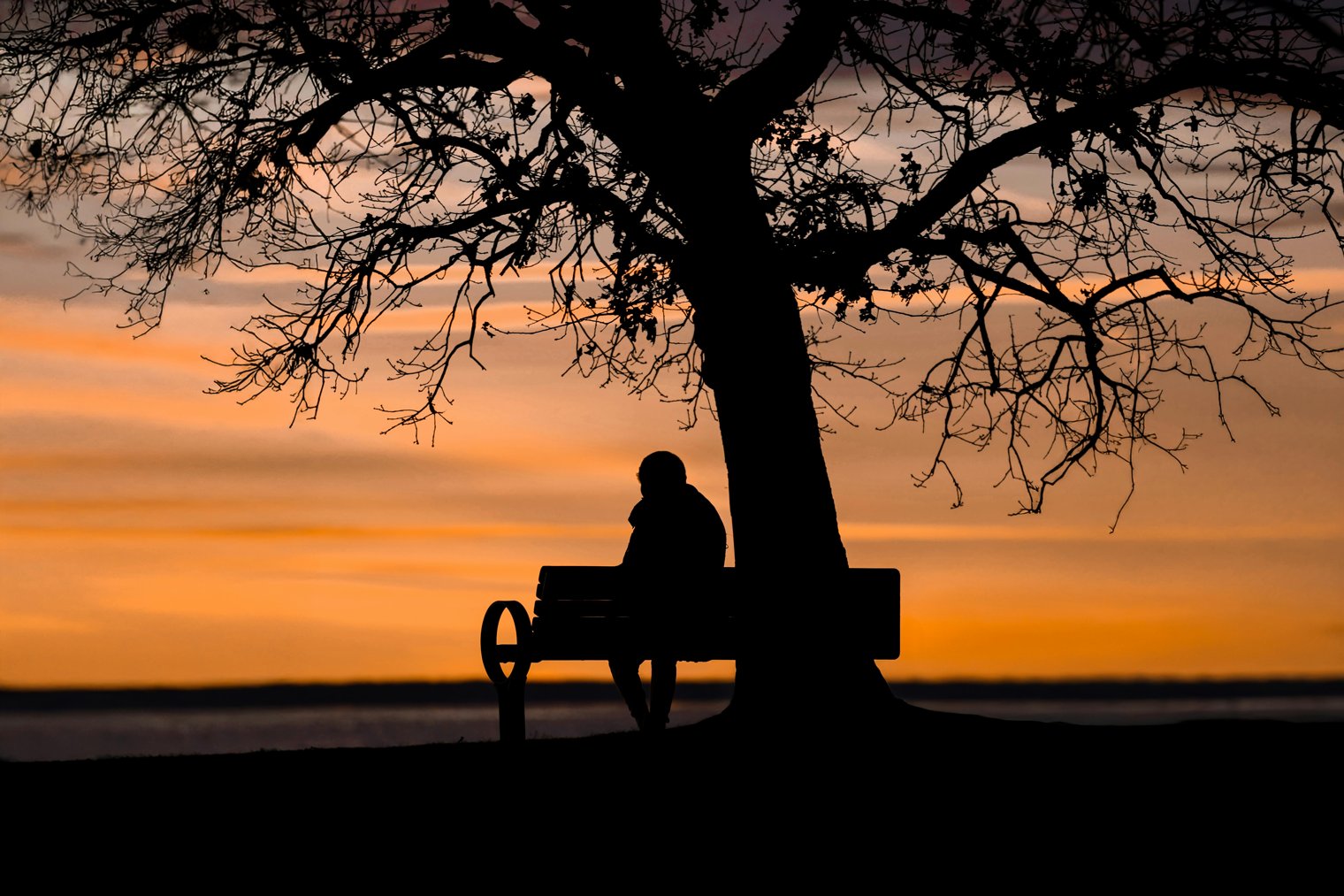 Sitting on a Park Bench in the Early Morning, Watching the Sunrise Slowly Illuminate the Sky