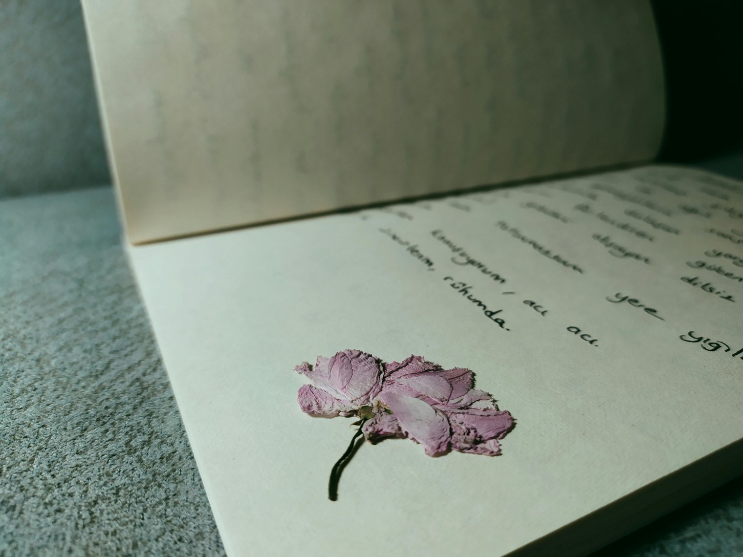 Finding an Old Note You Wrote to Your Future Self
