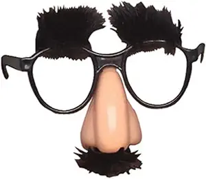 Rhode Island Novelty Child's Disguise Glasses, One Pair