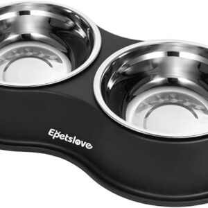 Dog Bowls Double Dog Water and Food Bowl Stainless Steel Bowl with Non-Slip Resin Station, Pet Feeder Bowls for Puppy Medium Dogs Cats