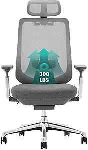 COLAMY Ergonomic Mesh Office Chair, High Back Office Chair, Computer Executive Desk Chair with Lumbar Support,Adjustable Headrest and 4D Arms, Slide Seat, Tilt Lock-Darkgrey New