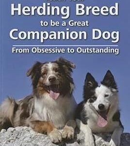 Teach Your Herding Breed to Be a Great Companion Dog: From Obsessive to Outstanding