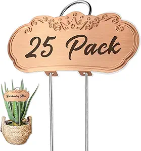 Metal Plant Labels,Tall Outdoor Garden Markers for Flower, Fruit and Vegetable, Stainless Steel Weatherproof Signs (25 Packs, 4" x 1.9", Gold)