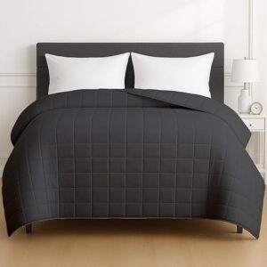 HomeSmart King Size Weighted Blanket 20 lbs, Weighted Blanket for Adults, Fits Standard and California King Beds, 104x92, Grey