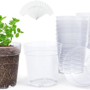 homenote Clear Nursery Pots for Plants,6.7 Inch Plant Pot for Planting Plastic Seedling with Drainage Holes Seed Starter Flower High Transparency with 20 Labels (15 Pack)