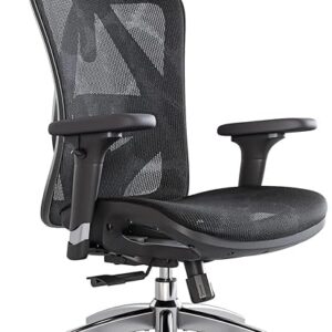 SIHOO M57 Ergonomic Office Chair with 3 Way Armrests Lumbar Support and Adjustable Headrest High Back with Tilt Function (Black)