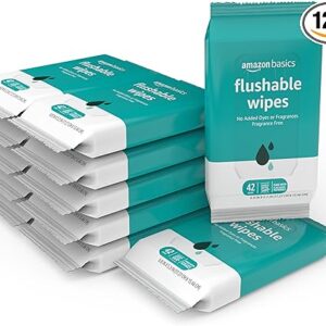 Amazon Basics Flushable Adult Toilet Wipes, Fragrance Free, 504 Count (12 Packs of 42)