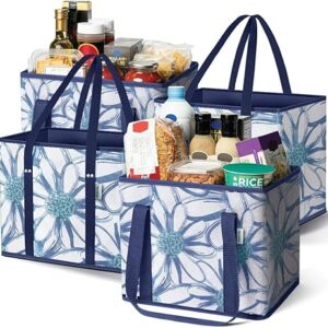 Reusable Grocery Bags or Shopping Bags