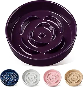 vancasso Slow Feeder Dog Bowl, 1.5 Cups Ceramic Slow Feeder for Small and Medium Breed, Puzzle Maze Food Dog Bowl for Fast Eater, Dark Purple