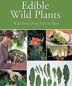 Edible Wild Plants
