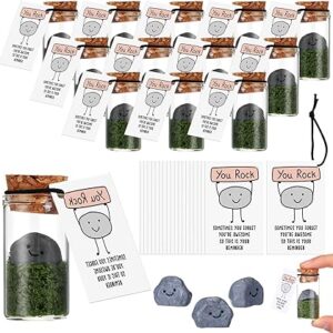 20 Sets Employee Appreciation Gifts Bulk Team Building Support Thank You Gifts with Inspirational Cards for Back to School Class Employee Students Teacher(You Rock)