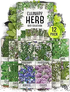 Seed Needs Herb Seeds Variety Pack Culinary Herb Collection (12 Individual Packets for Planting Indoors or Outdoors) Grow Your Own Herb Garden - Heirloom, Non-GMO