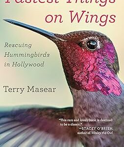 Fastest Things on Wings: Rescuing Hummingbirds in Hollywood