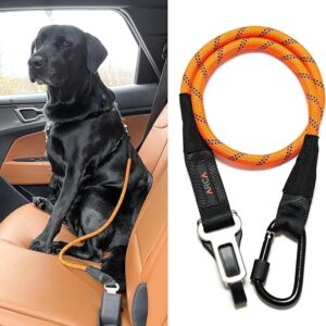 Dog Seat Belt for Car | Universal Dog Car Seatbelt | Durable Reflective Rope with Clip Hook Latch, Buckle and Carabiner- Safe and Secure Pet Safety Restraint (Orange)
